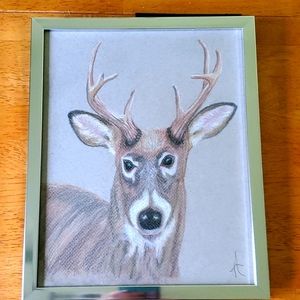 Origional, White Tail Deer Graphite sketch